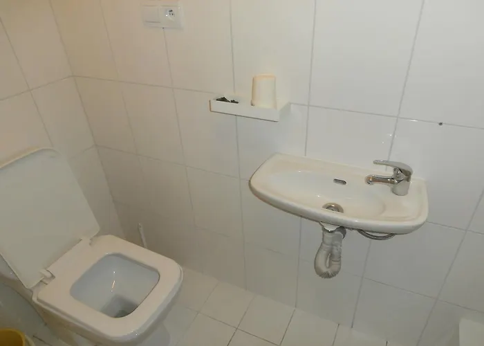 Zemanův Dvůr Penzion Božanov